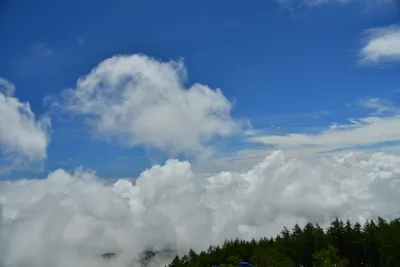 DSC_3621 (Large).JPG